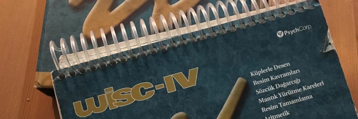 Wechsler Çocuklar için Zeka Ölçeği Nedir? Ne Zaman Uygulanmalıdır?