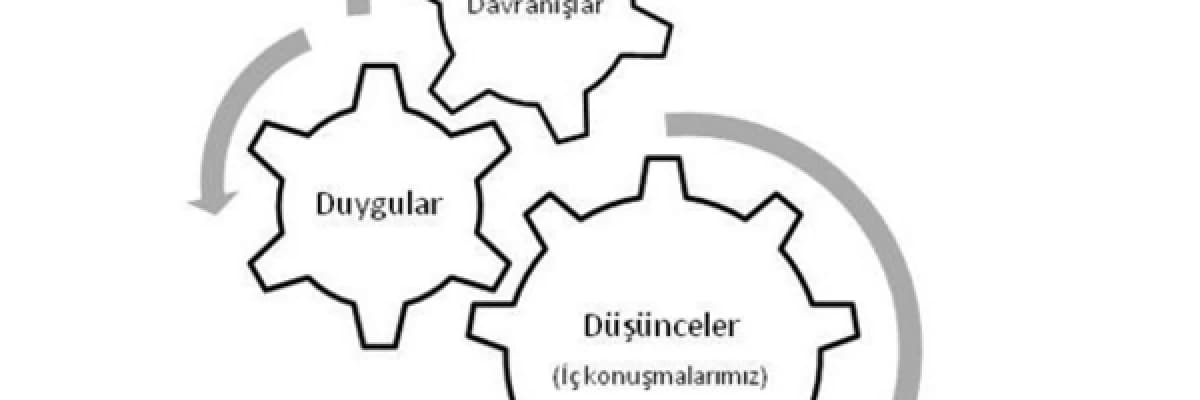Duygu-Düşünce-Davranış
