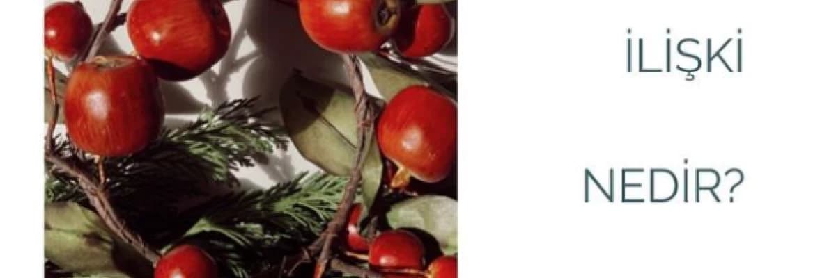 Sağlıklı İlişki Nedir?