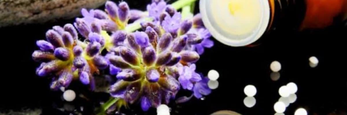 HOMEOPATİ ve DERMATOLOJİK KULLANIMI