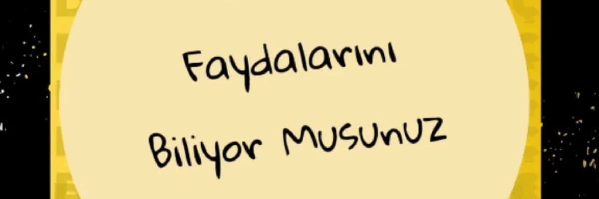 Kerevizin Faydaların Biliyor Musunuz?