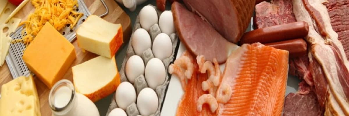 Yüksek Proteinli Diyetler Böbrek Hastalığının Riskini Artırabilir