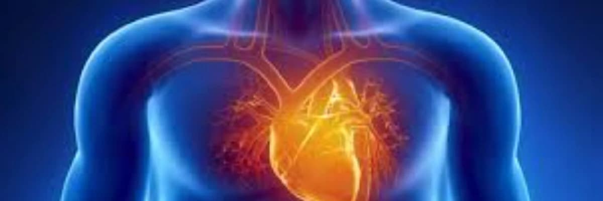 KALBİN KAPAK HASTALIKLARI