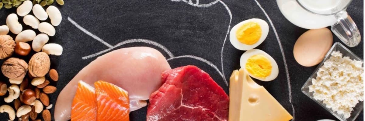 Protein ve Kas Oluşumu Arasındaki İlişki