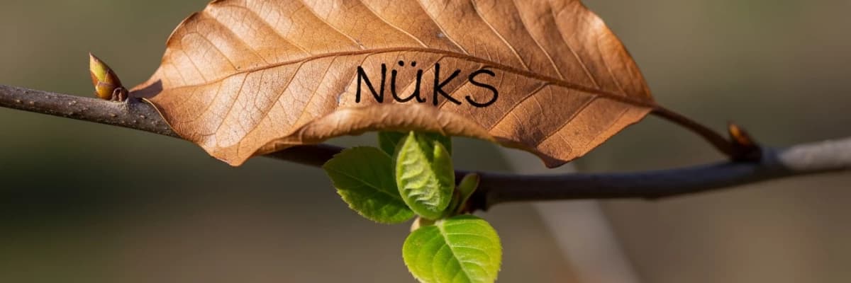 Yeme Bozukluğunda Nüks: Neden Olur, Nasıl Yönetilir?