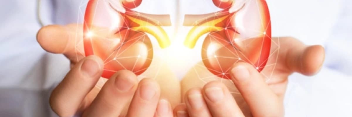 BÖBREK NAKLİ HAKKINDA TEMEL BİLGİLER