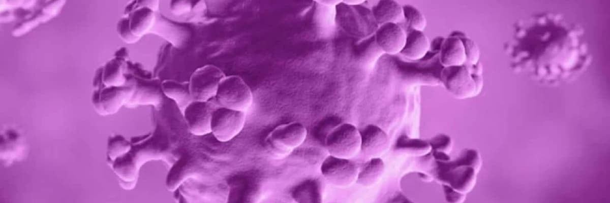 GENİTAL SİĞİL (KONDİLOM)