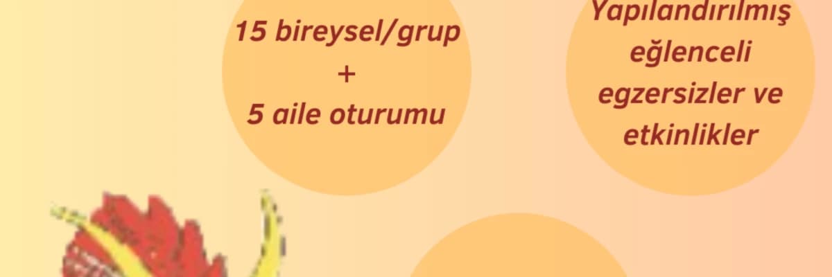 Attentioner dikkat geliştirme programı