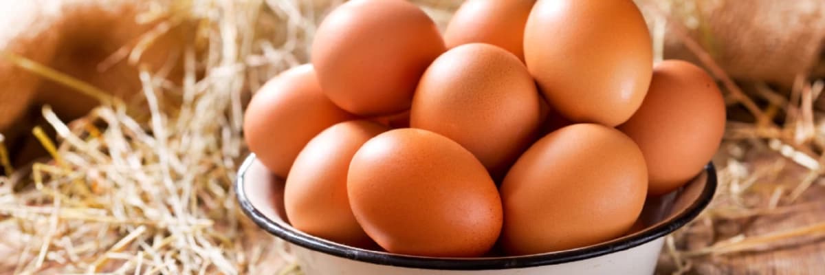 Neden yumurta yemeliyiz?