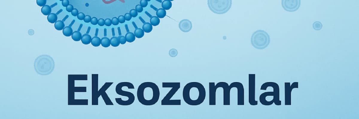 Eksozomlar: Geleceğin Hücresel Yenileme Teknolojisi