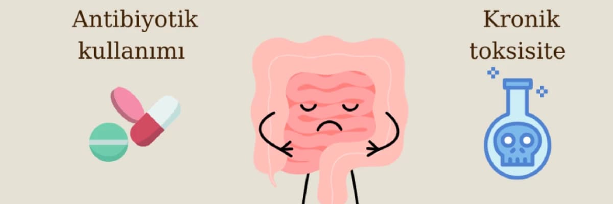 Bağırsak hasarına neden olabilecek 5 faktör