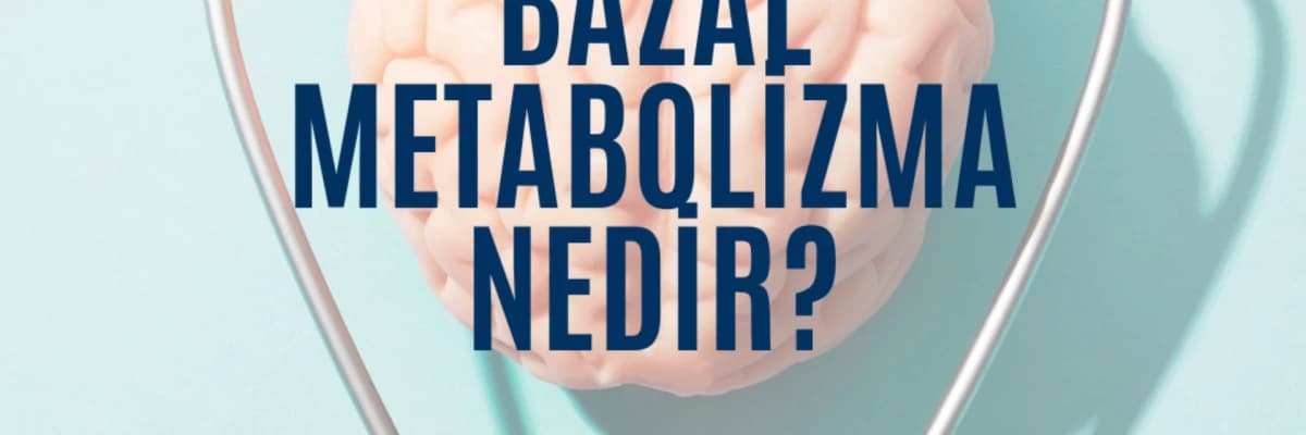 Bazal Metabolizma Nedir?