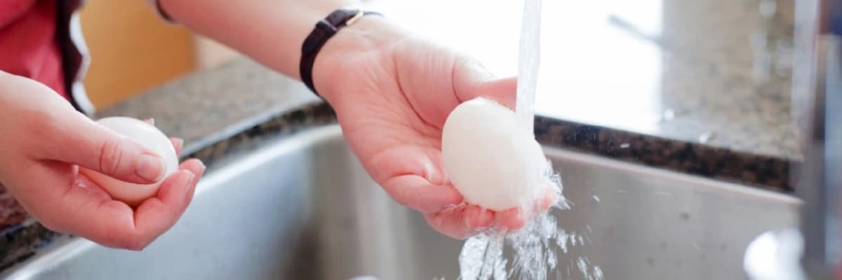 Yumurtayı yıkamalı mıyız?