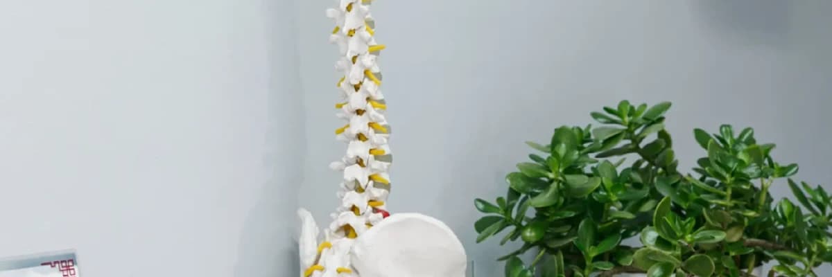 Bel Fıtığı Neden ve Nasıl Oluşur?