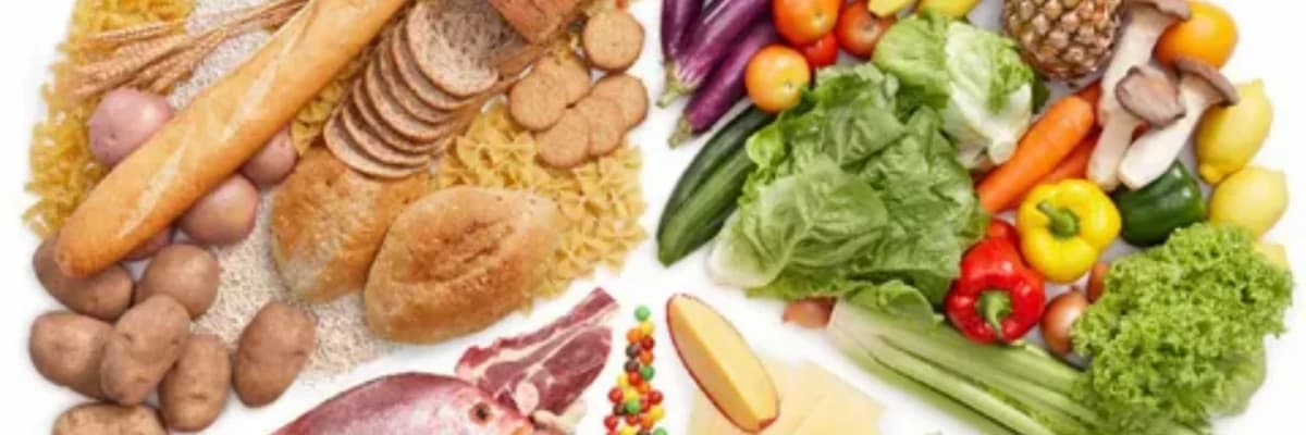 BESLENMENİN ÖNEMİ