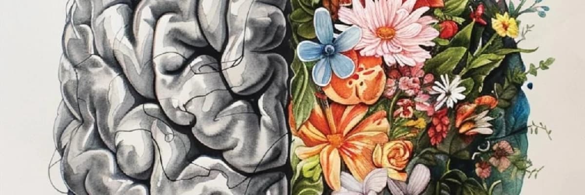 Borderline Kişilik Bozukluğu (BPD)