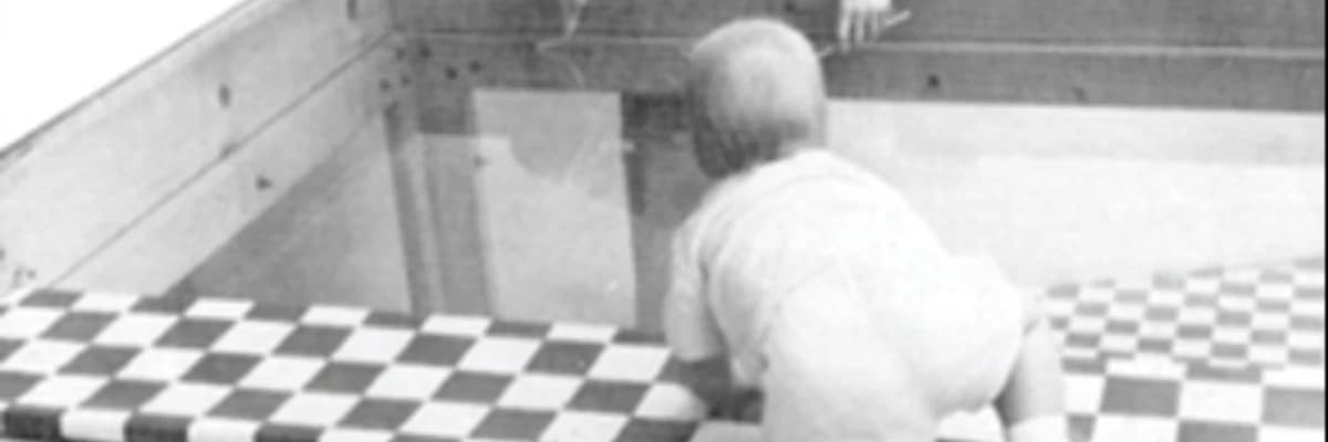 Bebekler Yükseklikten Korkar mı ? Görsel Uçurum Deneyi