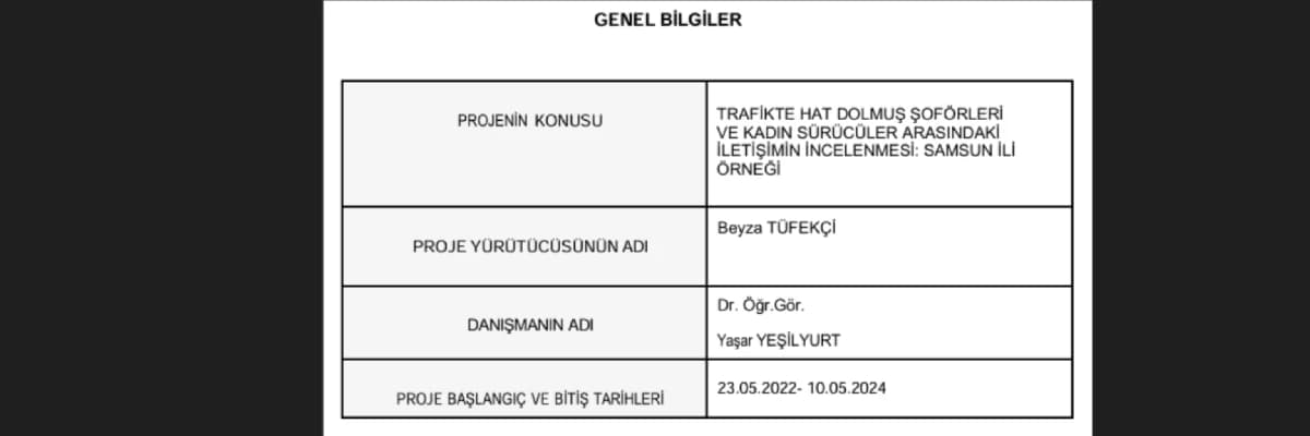 Trafikte Kadın-Erkek İlişkisinin Analizi ve İncelenmesi