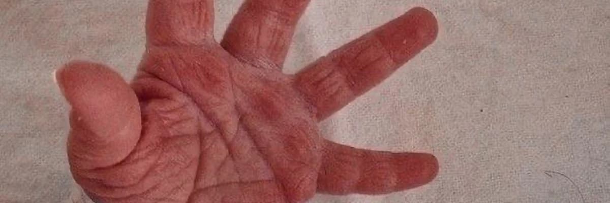 0-18 Aylık Bebeklerde Zihin Gelişimi