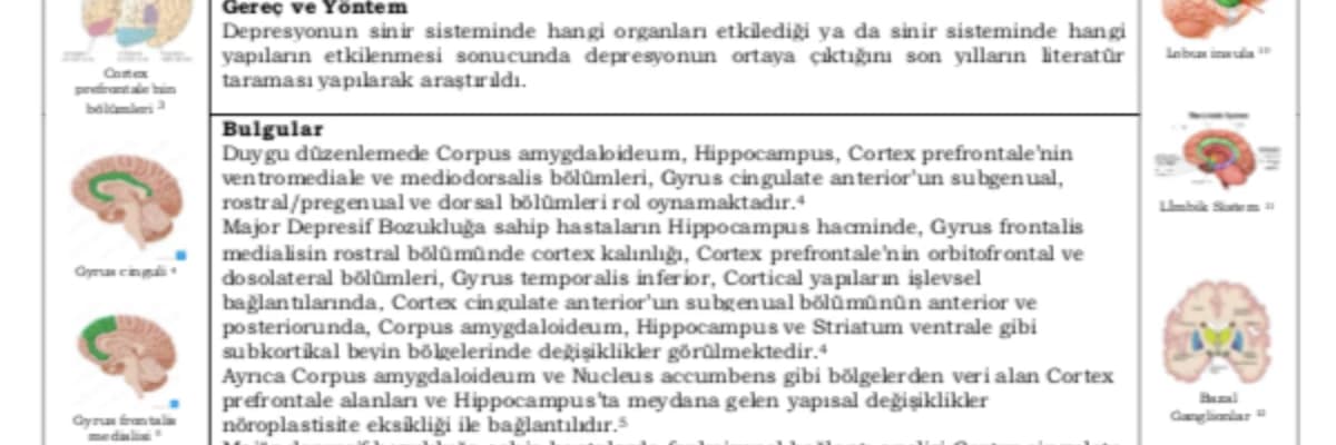 Depresyon ile İlişkili Sinir Sistemi Anatomik Yapıları