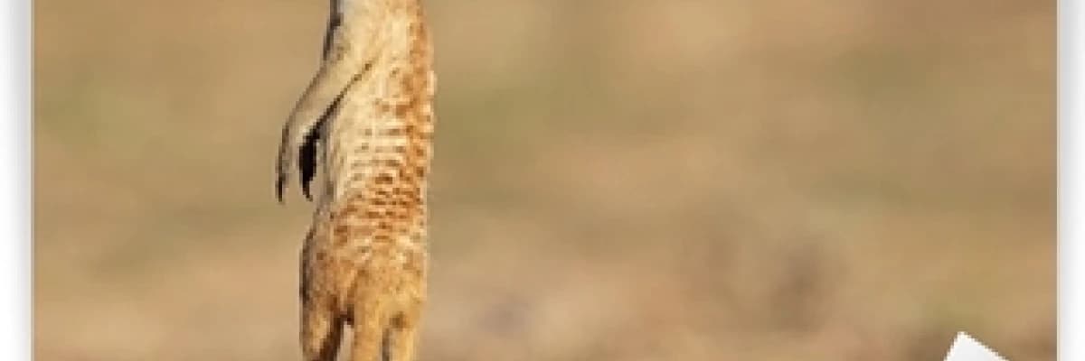 Sürekli Tetikte Olmak: Zihniniz Neden Her An Kötü Bir Şey Olacakmış Gibi Hissediyor?