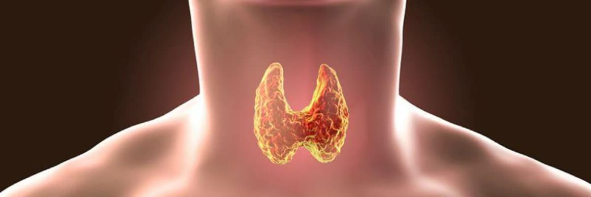 Haşimato Hastalığında Beslenme