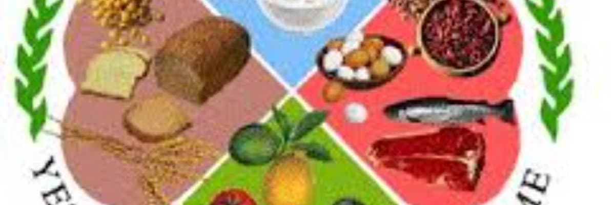 KİLO KAYBINDA BAŞARILI OLMAK İÇİN BASİT VE ETKİLİ TAVSİYELER