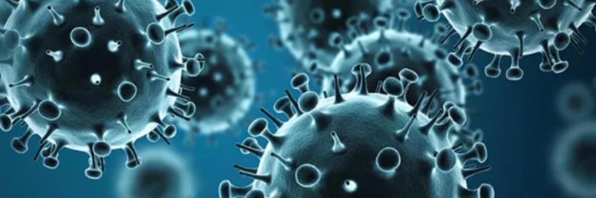 Kış Mevsiminin Korkulu Rüyası İnfluenza Salgınları