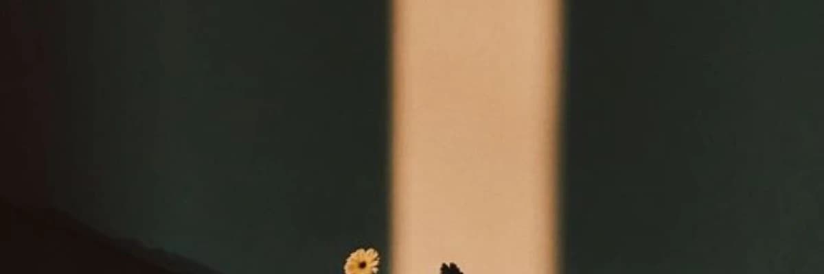 DEPRESYON VE (U)MUTSUZLUK