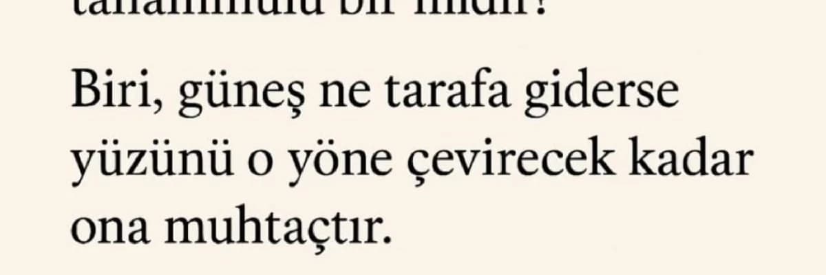 AYÇİÇEĞİ VE SER ÇİÇEĞİ