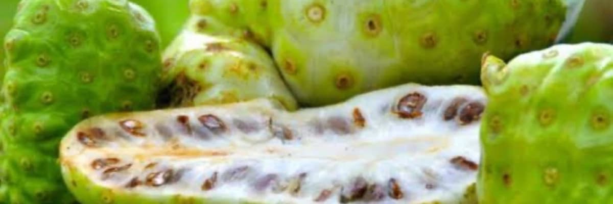 Nitric oxitin ağız ve diş sağlığına etkisi nedir