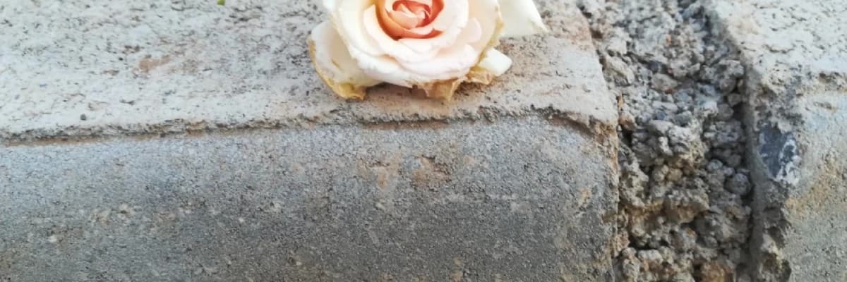 Çözümü Doğru Yerde Ara