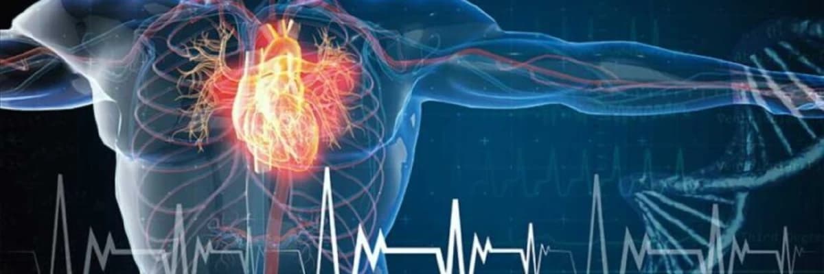 Aritmi Nedir ?