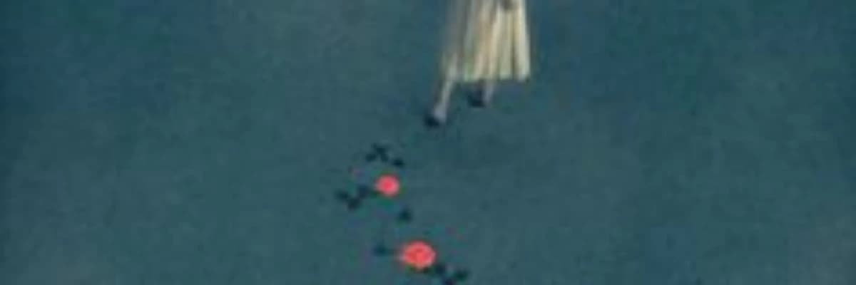 Travma Sonrası Stres Bozukluğu