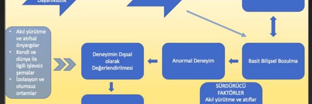 BİLİŞSEL DAVRANIŞÇI TERAPİ İLE ŞİZOFRENİ TEDAVİSİ