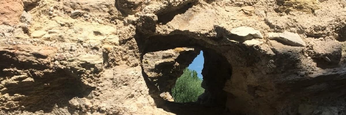 Bipolar Bozukluk (İşlevsellik ve Duygu Düzenleme Üzerine Bir İnceleme)