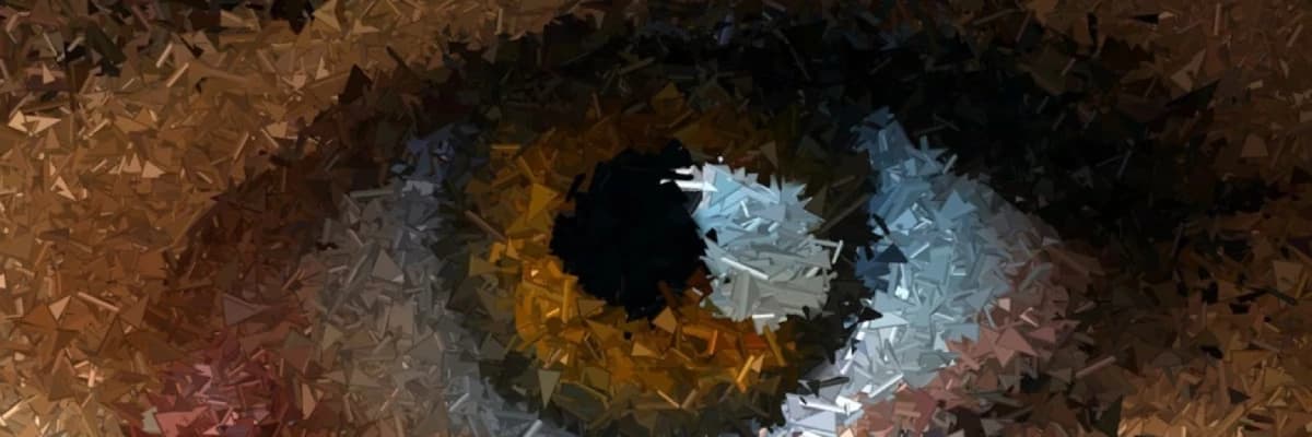 EMDR VE SOMATİK DENEYİMLEME®