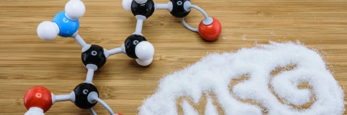 MSG - Monosodyum Glutamat (Çin tuzu)