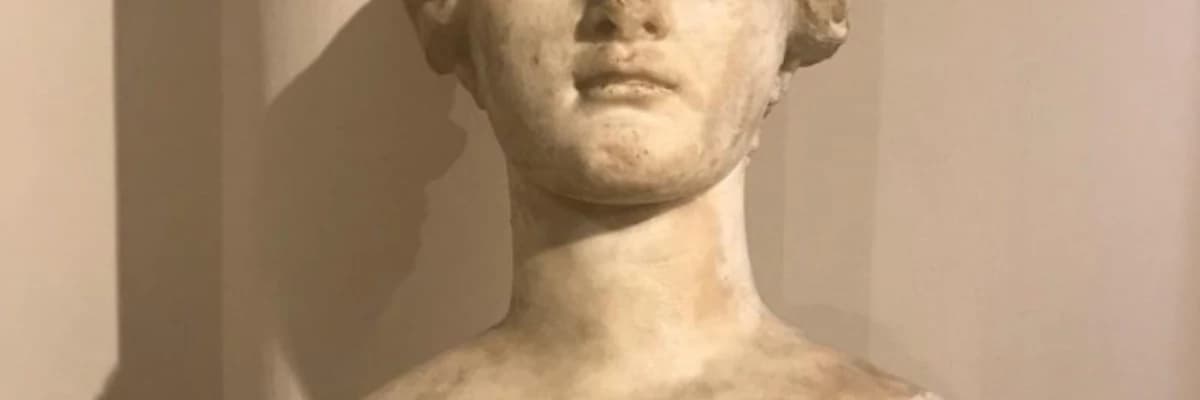 Konfor alanından çıkmak .