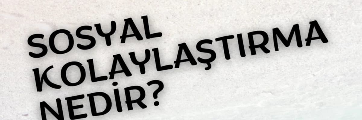 SOSYAL KOLAYLAŞTIRMA