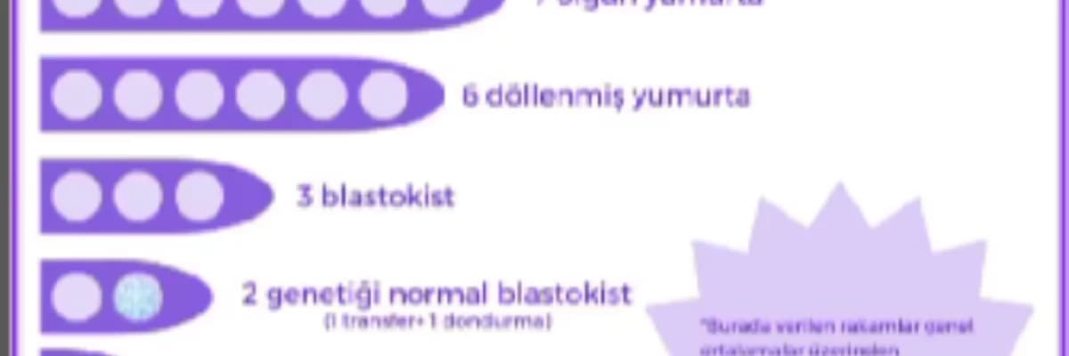 Tüp Bebek