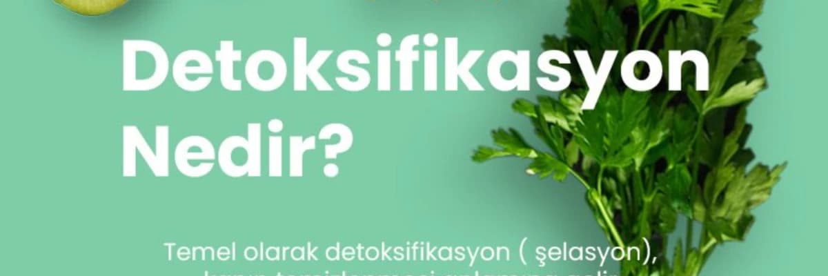 Şelasyon, detoksifikasyon nedir ?