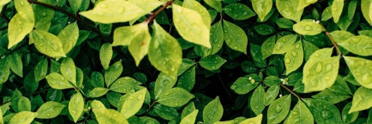 Özgüven ve Özgüven Eksikliği