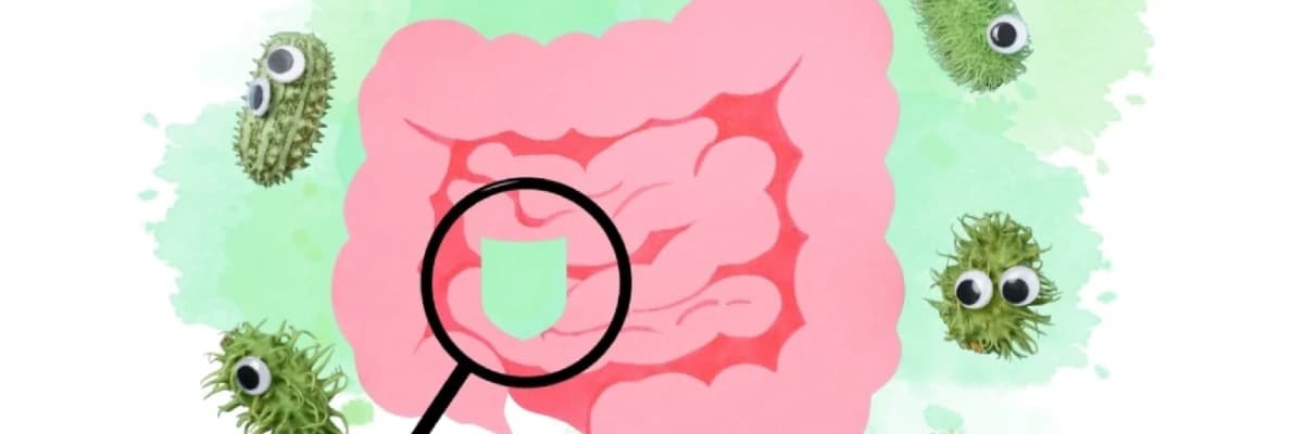 SIBO Nedir? Sürekli Şişkinliğin Gizli Nedeni Olabilir mi?