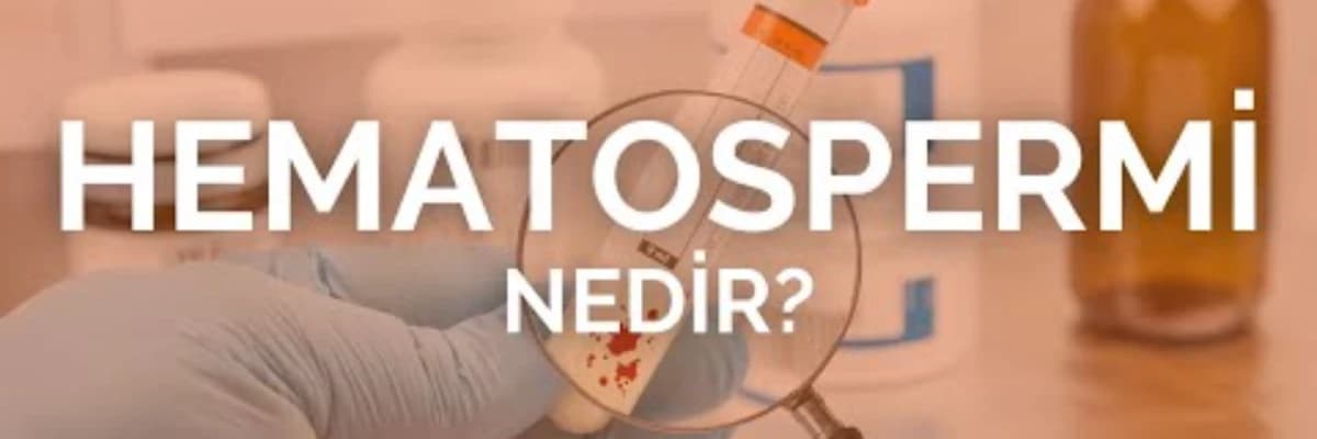 Kanda Sperm: Hematosperm Nedir ve Ne Zaman Endişe Vericidir?
