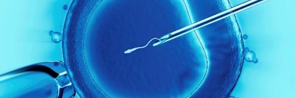 Tüb Bebek Aşamaları Nelerdir ?