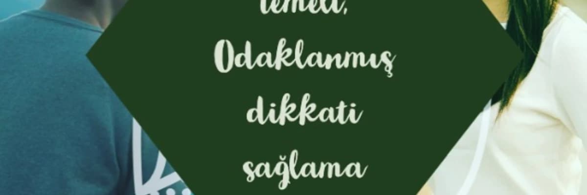 Meditasyonun Temeli: Odaklanmış Dikkati Sağlayabilmek