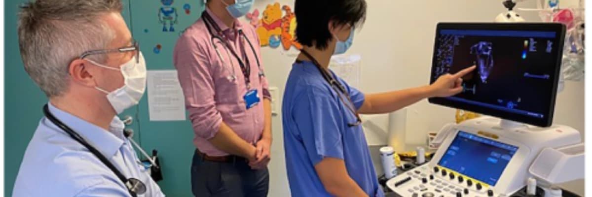 Paediatric and adult congenital cardiology education and training in Europe