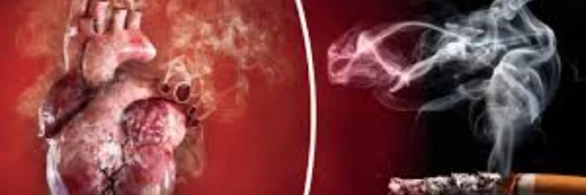 Sigara Kullanımı Kalbin Damar Hastalıkları İle Bağlantısı Var Mıdır?