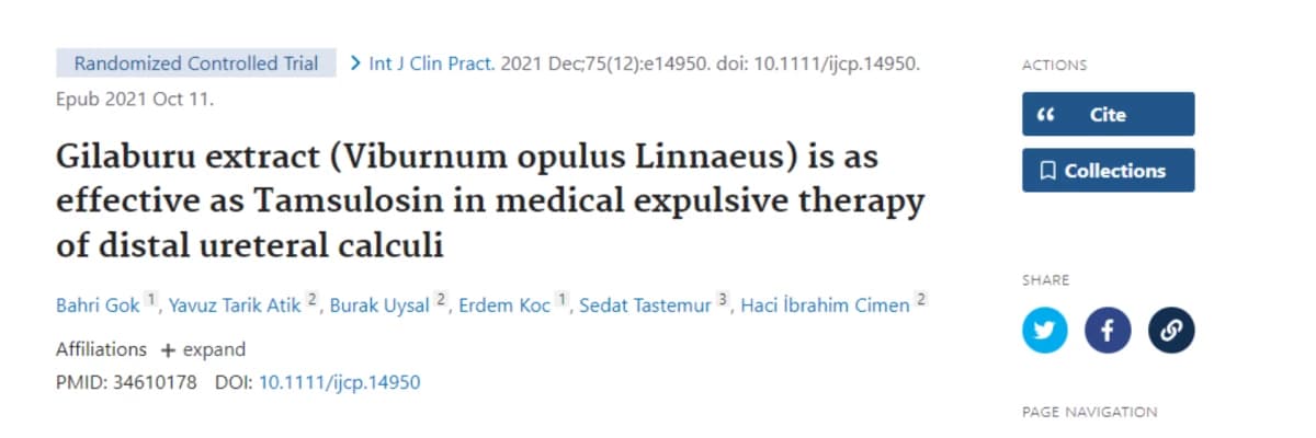 Gilaburu extract (Viburnum opulus Linnaeus) is as effective as Tamsulosin in medical expulsive therapy of distal ureteral calculi